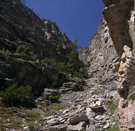 Drip Buttress Descent Gully