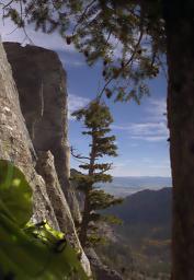 Down Valley Nez Perce