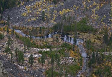 Beaver Ponds