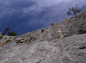 Rattler Gulch