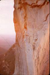 Wall Above Roof From100Ft Above Tree