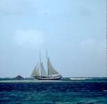 Schooner near Petit St. Vincent and Mopion