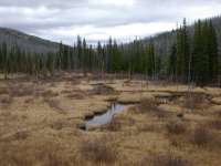 East Fork Blackfoot 