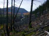 Approaching North Fork Trailhead