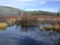 Beaver Ponds, Sourdough Creek Camp