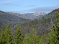 Looking Up the Dry Fork