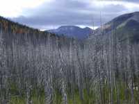 Meadow Creek Drainage