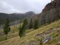 Alpine Meadows