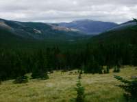 Alpine Meadows