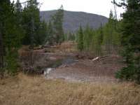 Middle Fork Creek