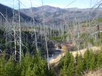 North Fork Blackfoot above Confluence with East Fork