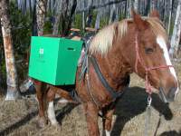 One Person Unpacker Straps