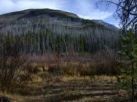 Sourdough Creek Camp