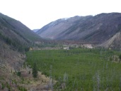 Burn along North Fork below Cabin