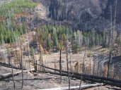 Looking down on camp