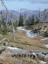 Looking towards Carmichael Cabin