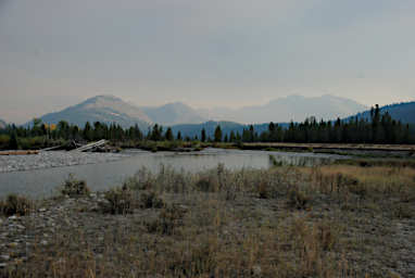 View South from Camp