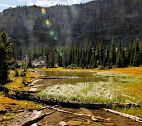 Pond below the Wall