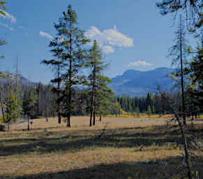 Camp on South Fork of the Sun at Bear Creek