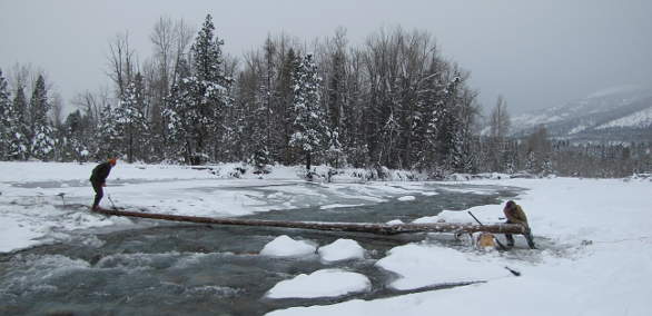 Ski Bridge