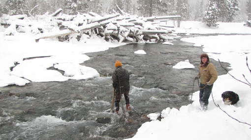 Ski Bridge