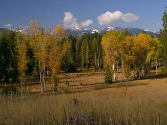 Mission Mts Forest Opening