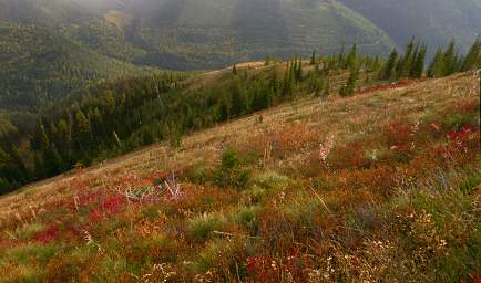 Ridge Hillside of Fall Colors