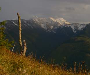 Swan Peak