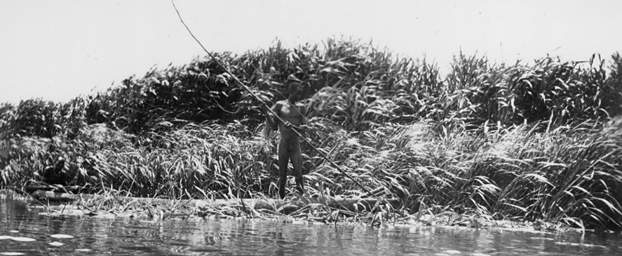 Egypt Fishing On Sabah