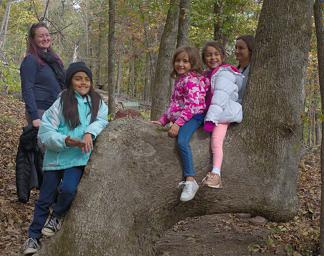 Island Tree Seat Julie Isabella Aviana Amelia Nicki