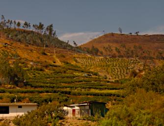 Huaraz P9190012