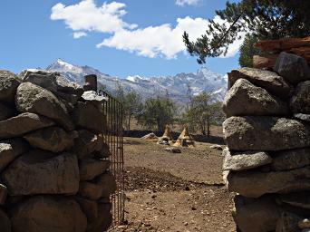 Huaraz Lazy Dog Inn