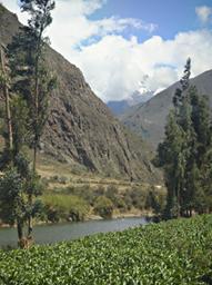 Machu Picchu From Train