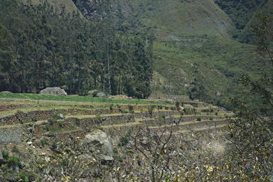 Machu Picchu From Train