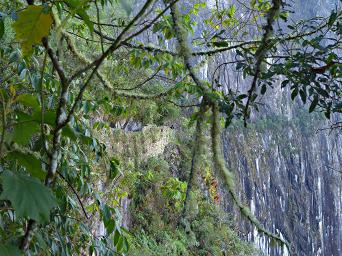 Machu Picchu Trail To Draw Bridge