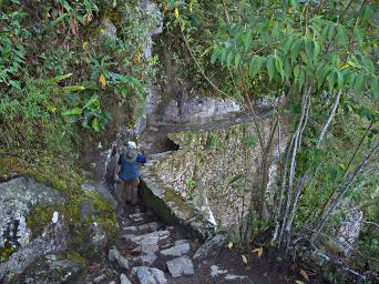 Machu Picchu Trail To Draw Bridge