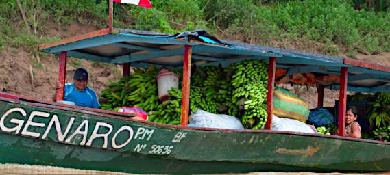 Tambopata Banana Boat P9280676