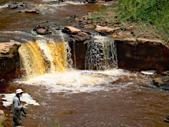 Tambopata Creek Gary PA011379