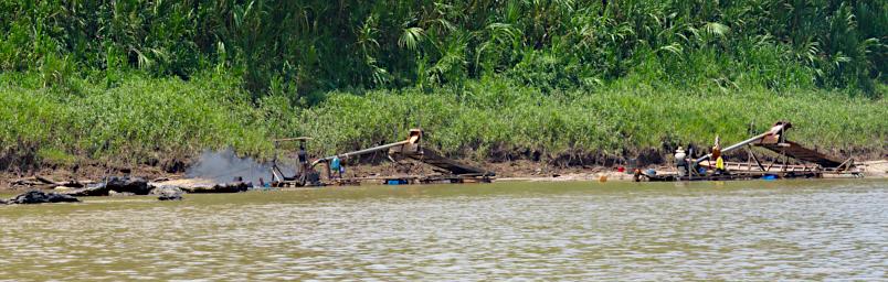 Tambopata Gold Miners