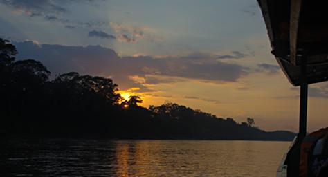 Tambopata Sunrise