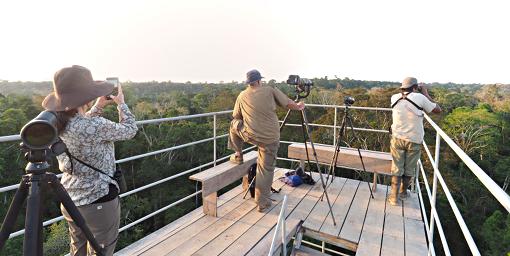 Tambopata Tower