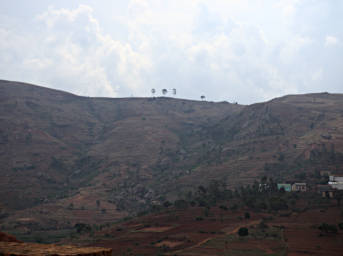 Ambalavao Lone Trees