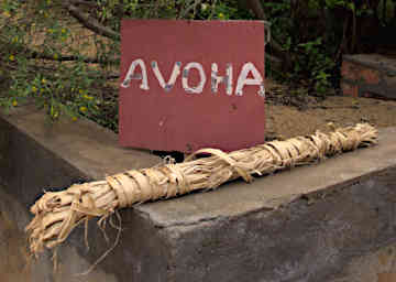 Ambalavao Paper Avoha Tree Bark