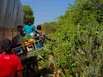 Ambola Truck Broken Down Zebu Cart