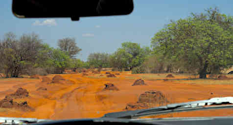 Ambola Road Termite Mounds