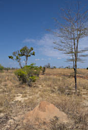 Antsirabe Hidden Poles