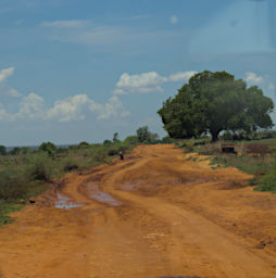 Beza-Mahafaly Road RN10