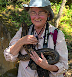 Peyrieras Snake Ground Boa Dona