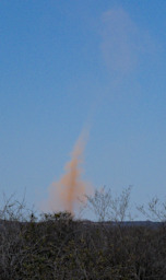 Toliara Dust Devil