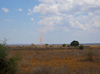 Toliara Dust Devil